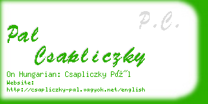 pal csapliczky business card